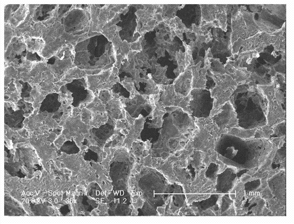 Preparation method of tissue engineering scaffold material