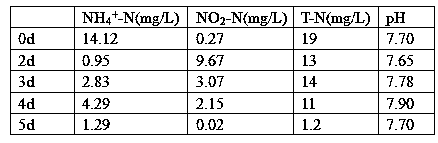 A kind of bacterial strain and synthetic method utilizing chitin to synthesize pha and application thereof