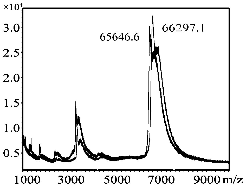 Synthesis method and application of coumafuryl hapten