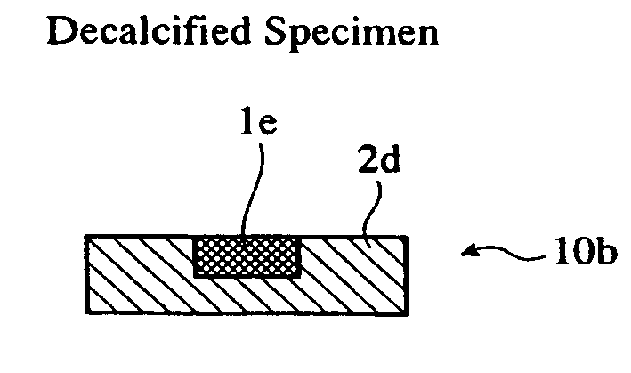 Method for producing decalcified hard tissue sample