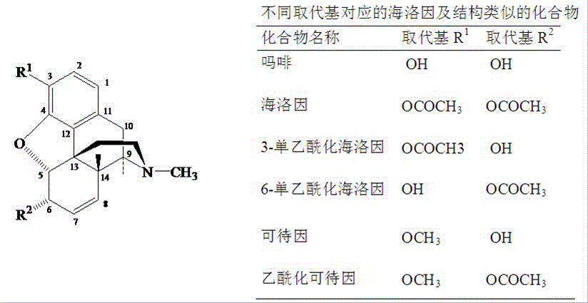 Preparation process of standard products of morphine base and heroin base