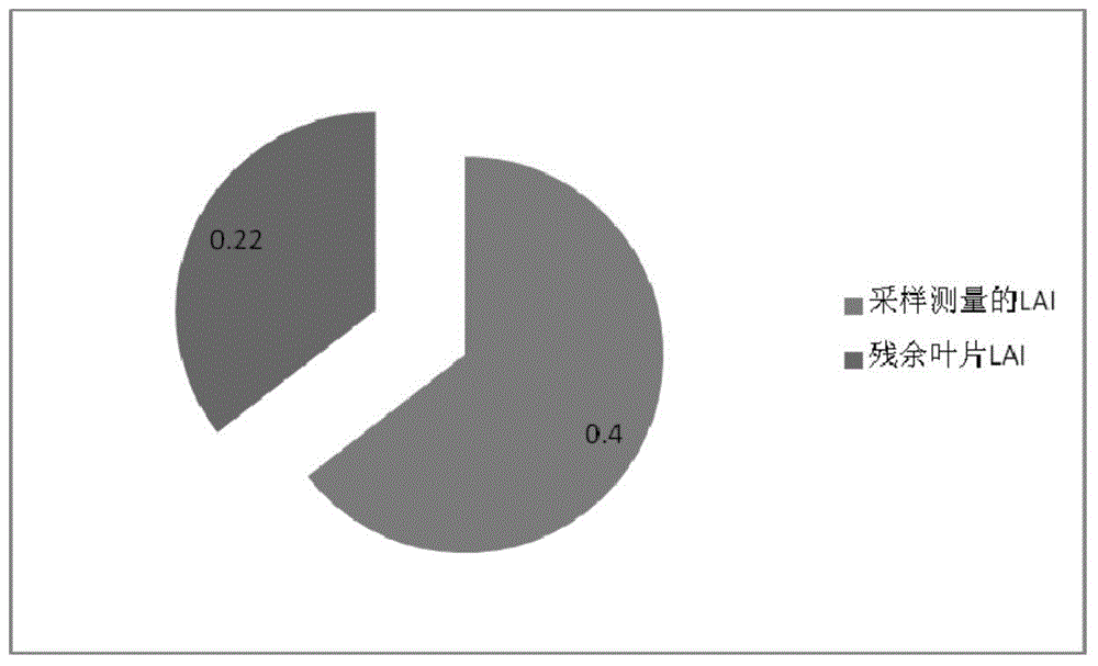 Leaf area index measuring method and system