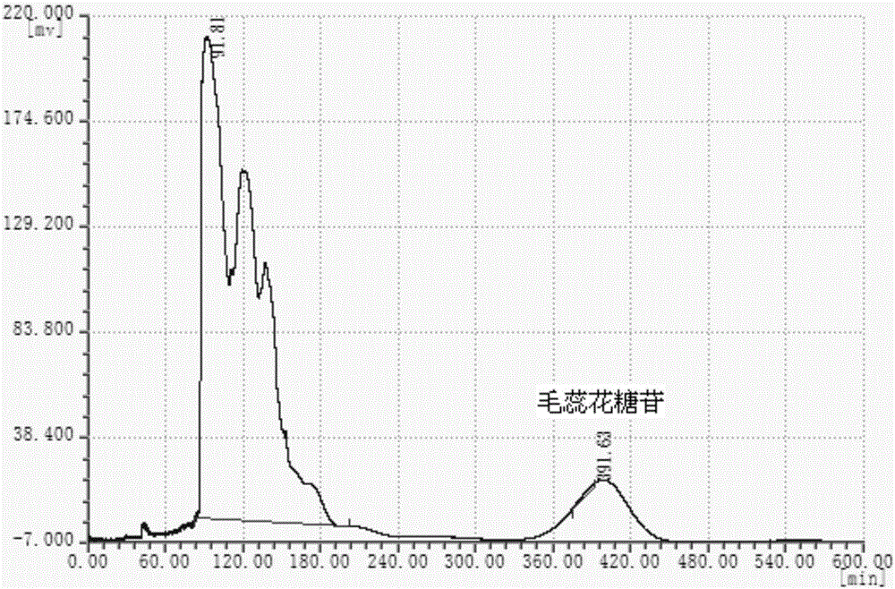 Method for extraction and separation of verbascoside from rehmannia glutinosa