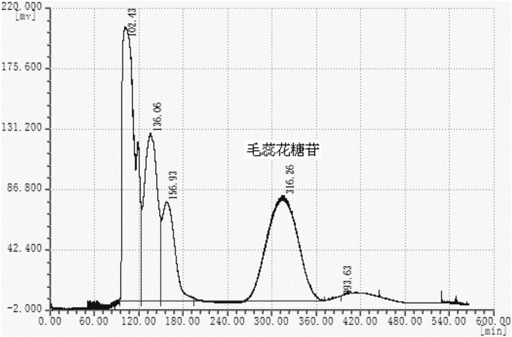 Method for extraction and separation of verbascoside from rehmannia glutinosa