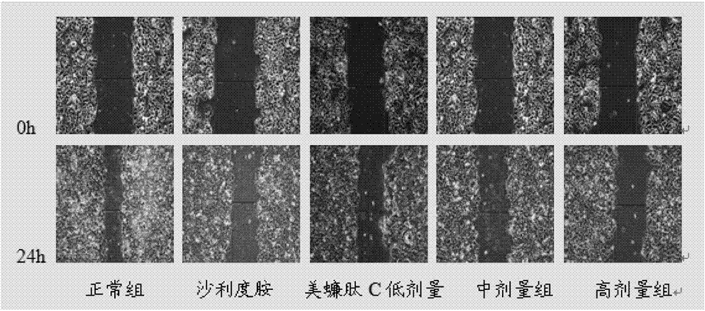 Periplaneta americana peptide C with anti-hepatoma activity and application of periplaneta americana peptide C