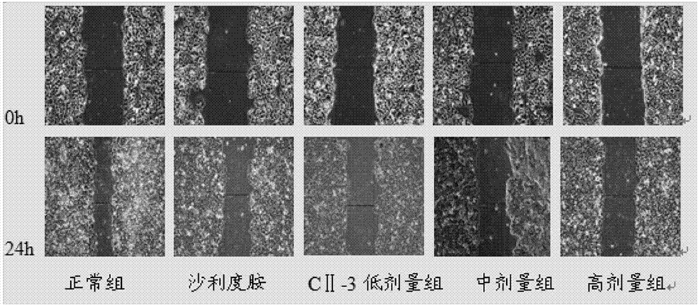 Periplaneta americana peptide C with anti-hepatoma activity and application of periplaneta americana peptide C