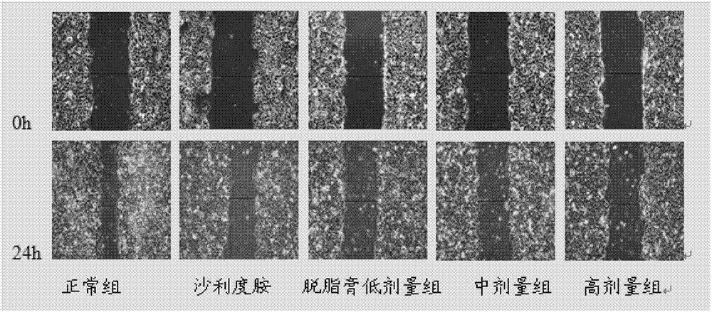 Periplaneta americana peptide C with anti-hepatoma activity and application of periplaneta americana peptide C