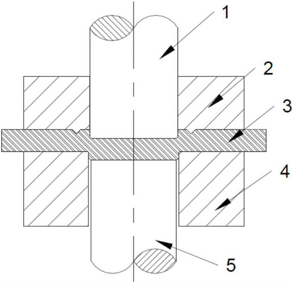 Shear-extrusion type gear-ring-free fine blanking device and method