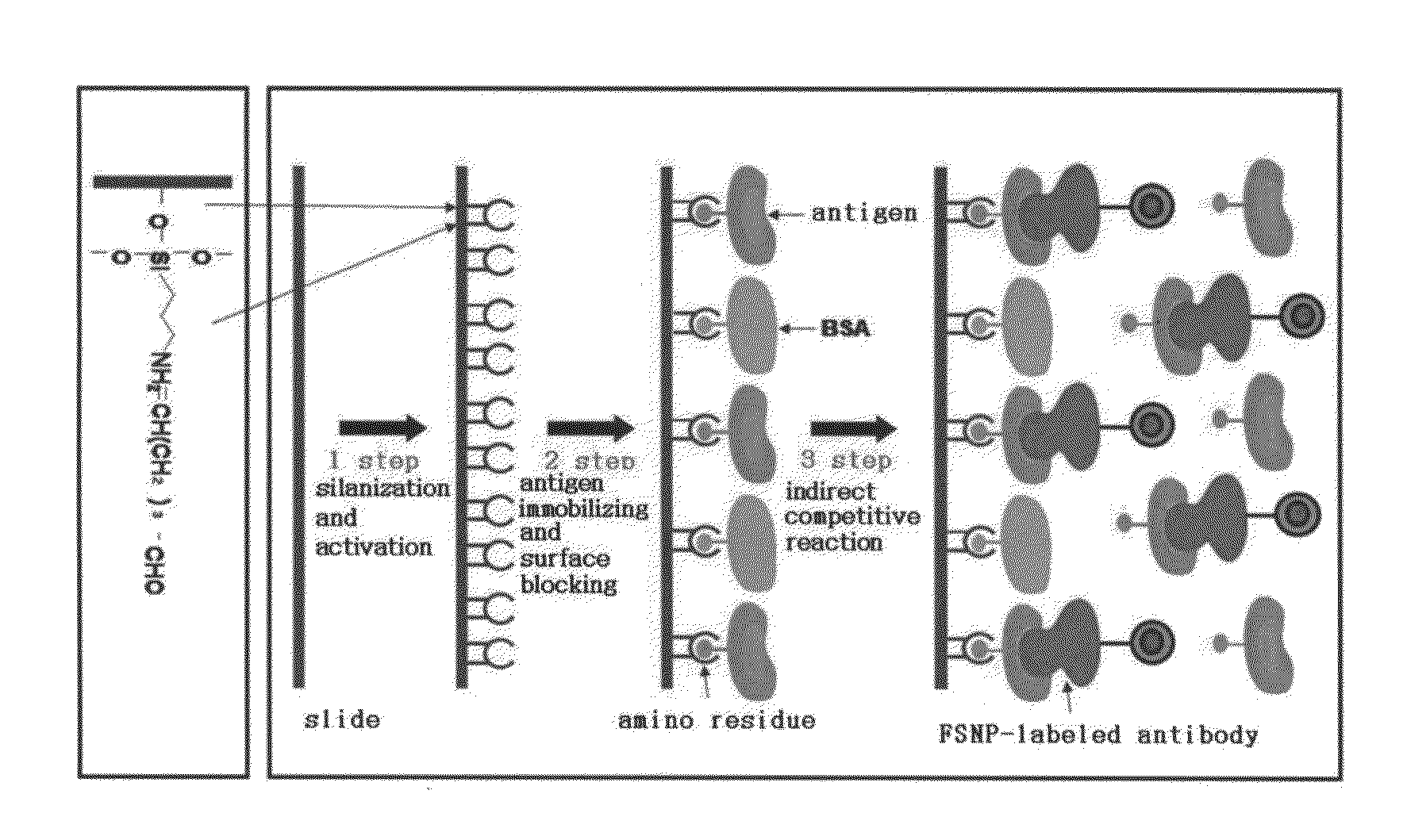 Preparation method of antigen-immobilized immuno- fluorescence slide and immuno-fluoroscence slide prepared thereby