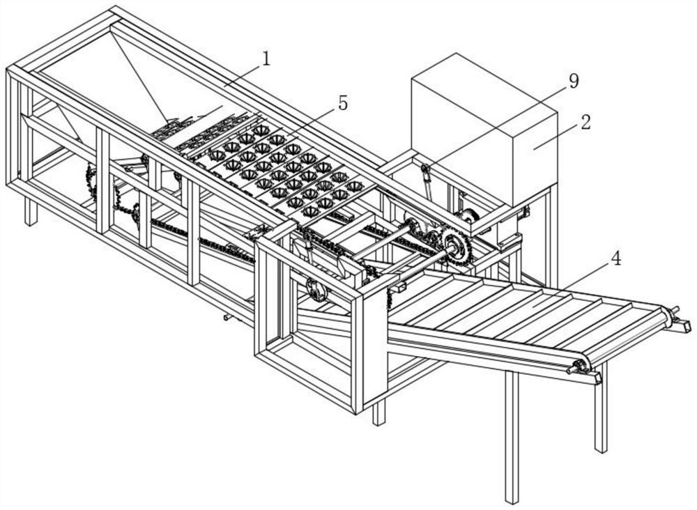 Slicing equipment for fruit processing