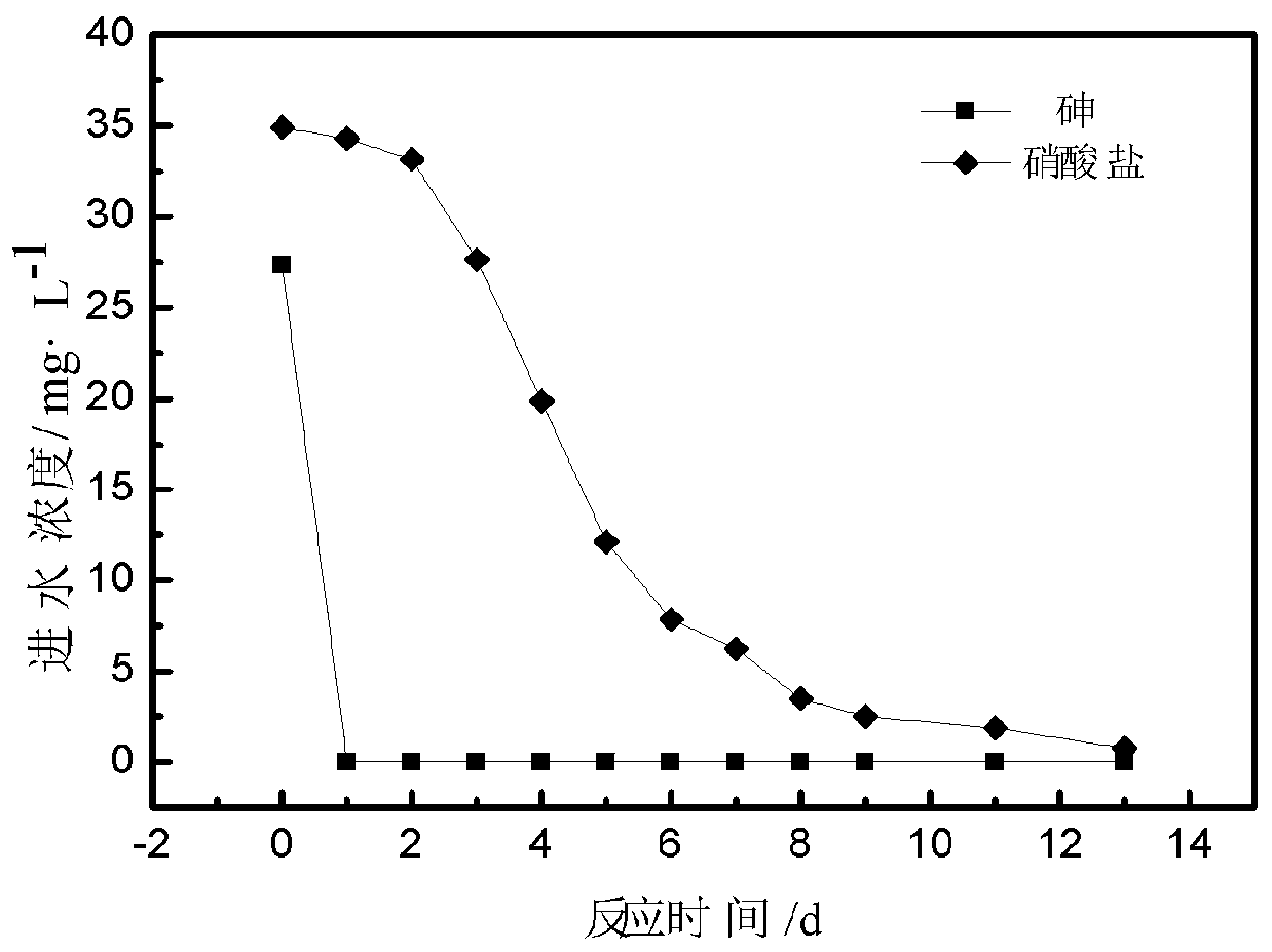 A method for synchronously removing nitrate and arsenic from groundwater by using natural pyrrhotite and its application