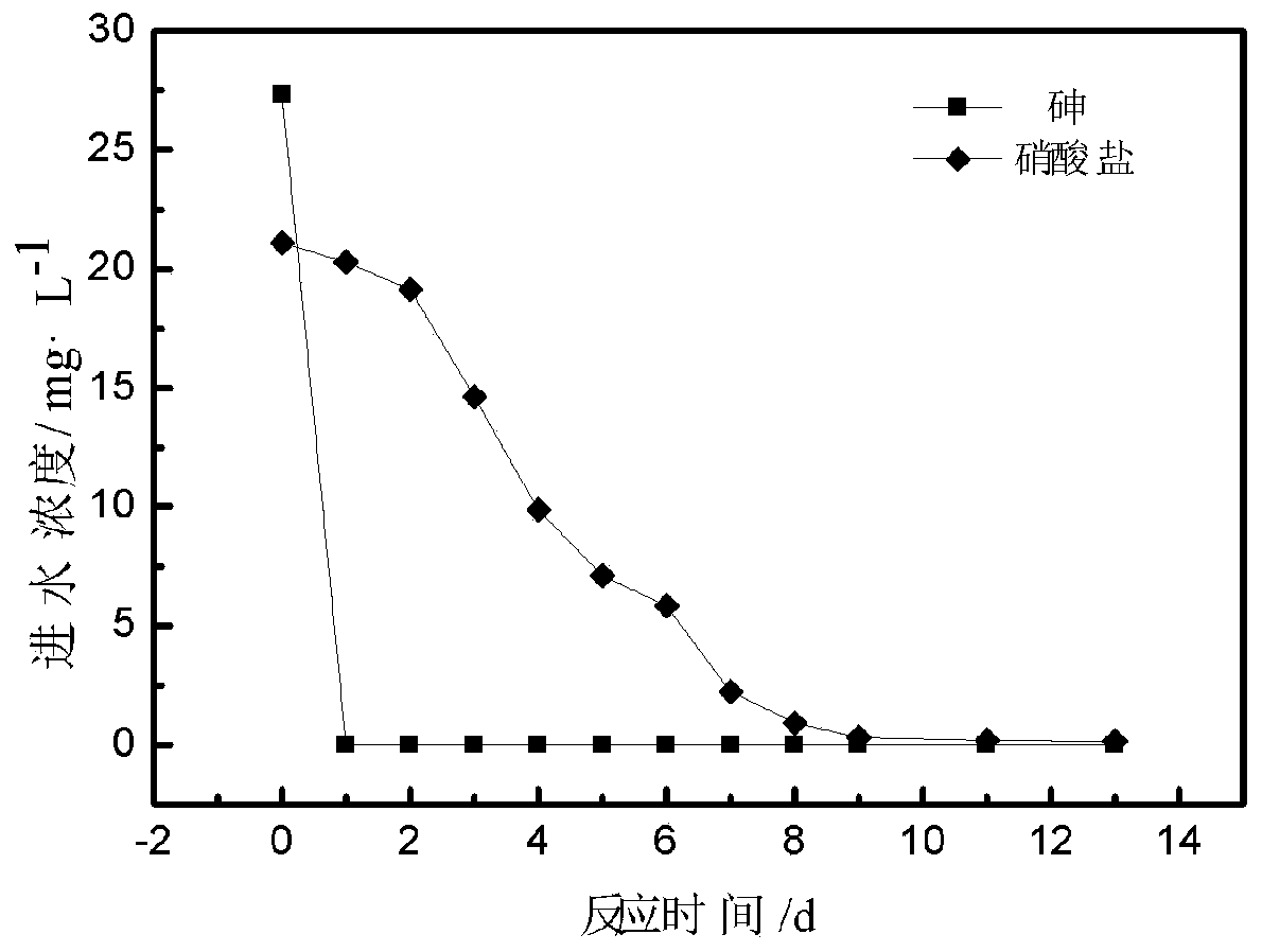 A method for synchronously removing nitrate and arsenic from groundwater by using natural pyrrhotite and its application