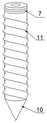 Termite elimination tool