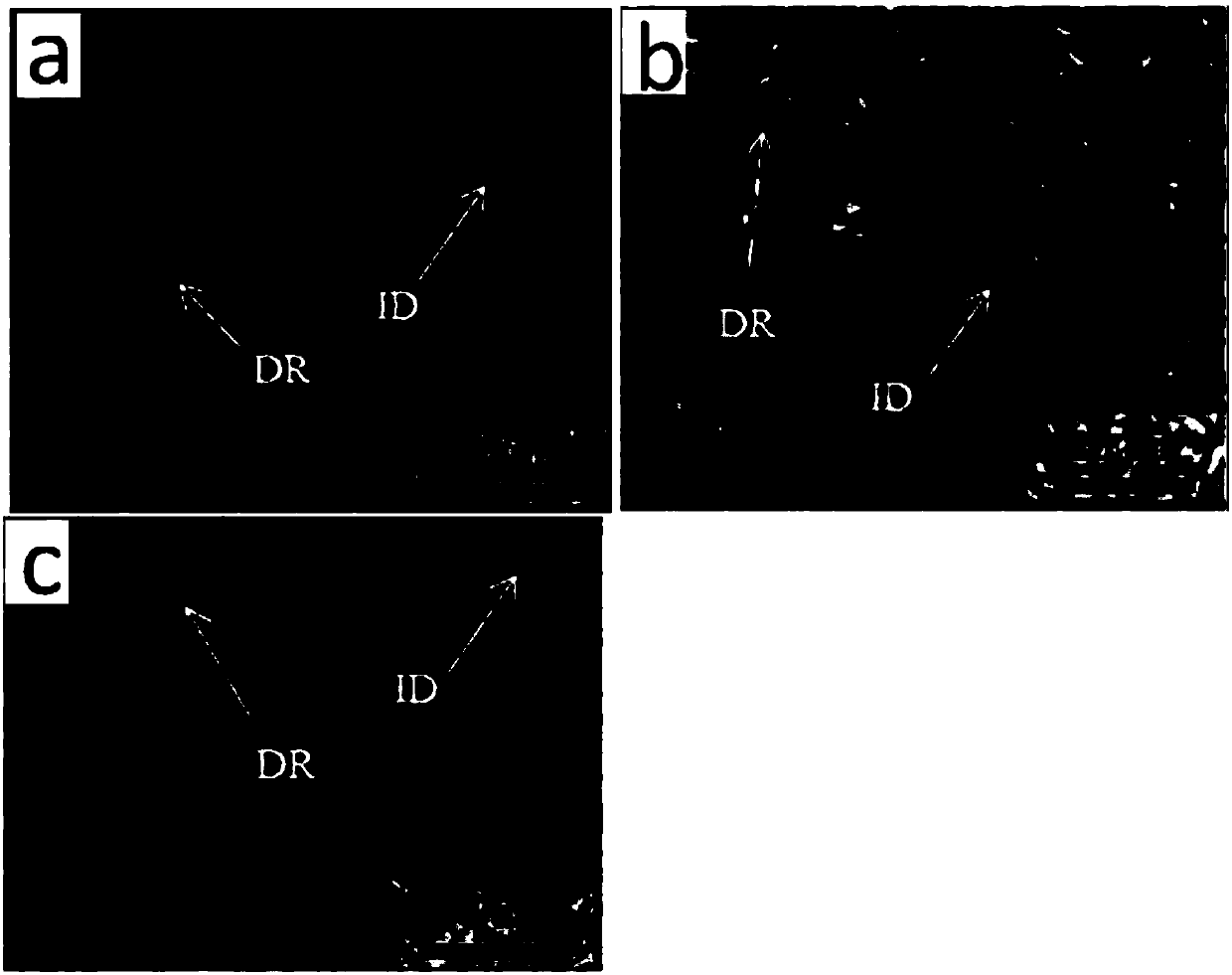 Method for improving magnetic property of high-entropy alloy by heat treatment through constant magnetic field