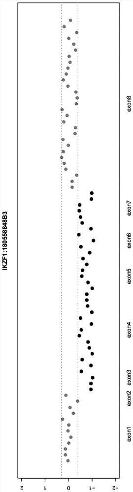 Method and device for detecting exon level deletion of target gene based on reads depth