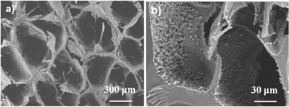 High-strength degradable cartilage tissue engineering scaffold and preparation method thereof