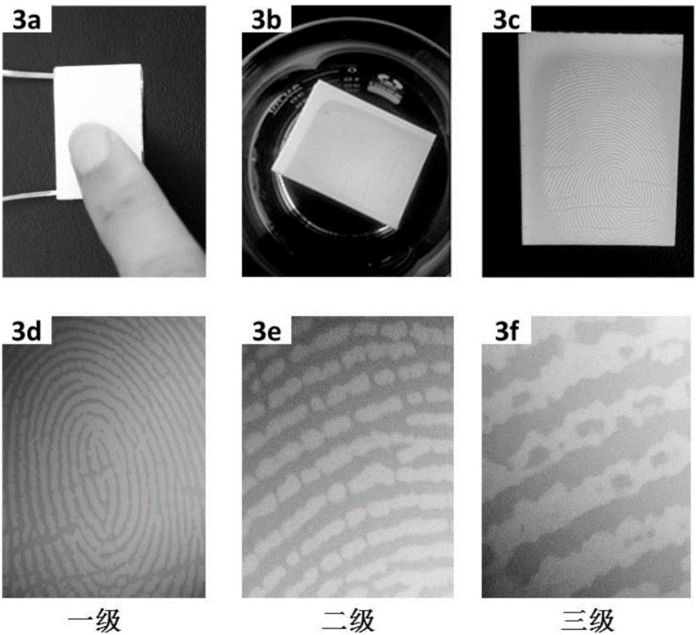 Self-initiated alarming and fingerprint positioning acquisition system