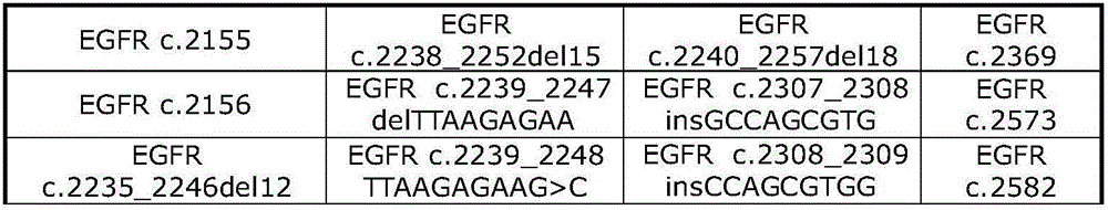 Nucleic acid preparation and analysis