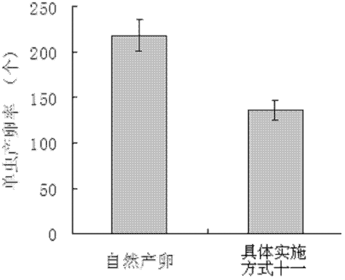 Living nematoda egg purification and extraction agent as well as its application method