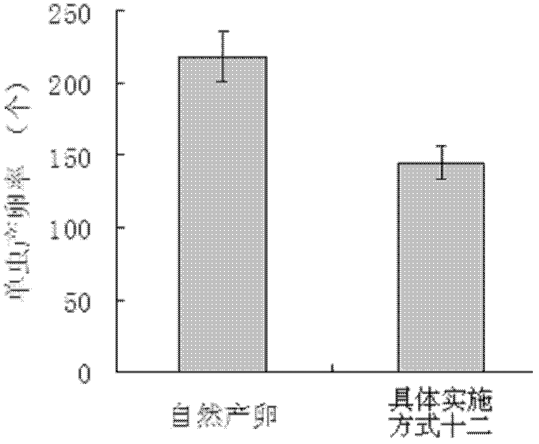 Living nematoda egg purification and extraction agent as well as its application method