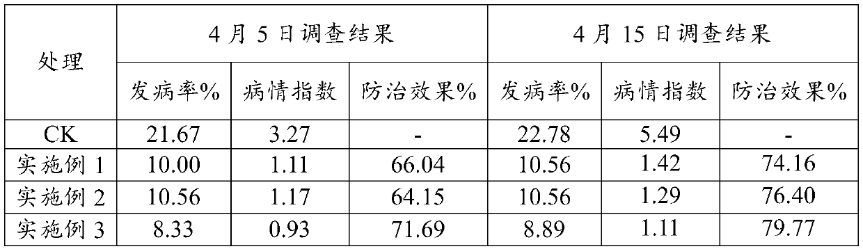 Biological fertilizer for preventing and controlling root black rot of tobacco, and preparation method thereof