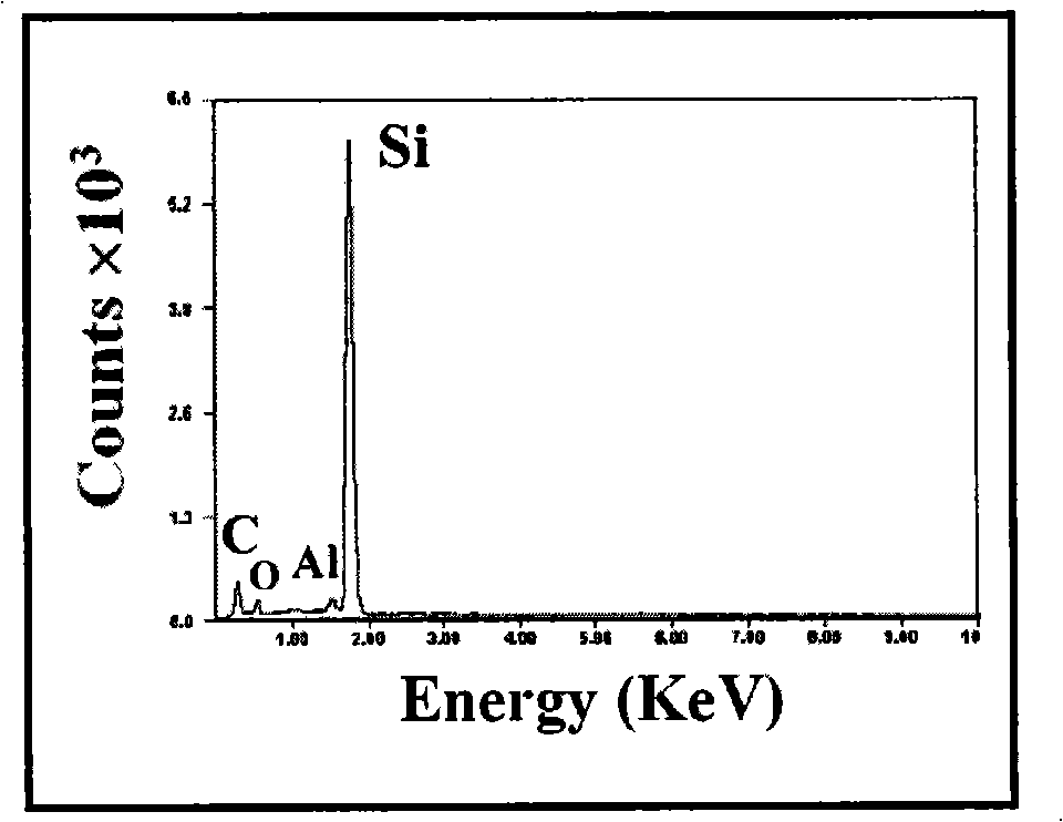 Controllable doping of SiC single crystal low-dimensional nano material