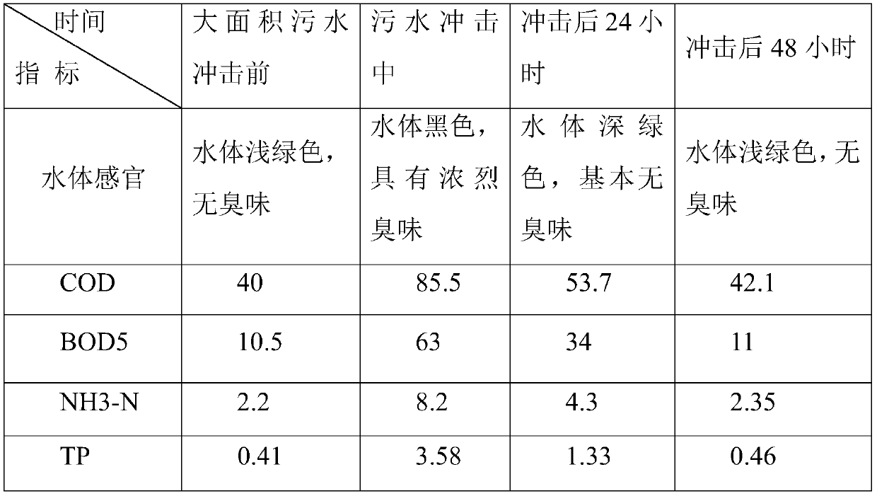 A method for in-situ natural purification of black and odorous water