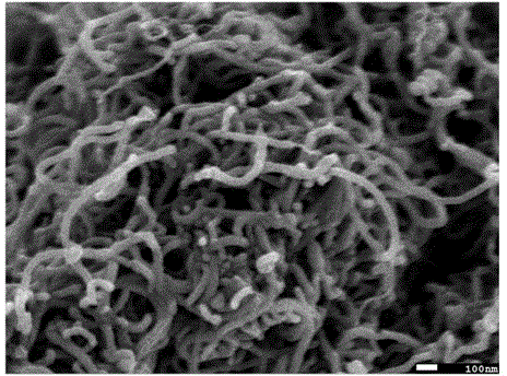 Cyclopentadiene-modified carbon nanotube/rubber composite material and preparation method thereof