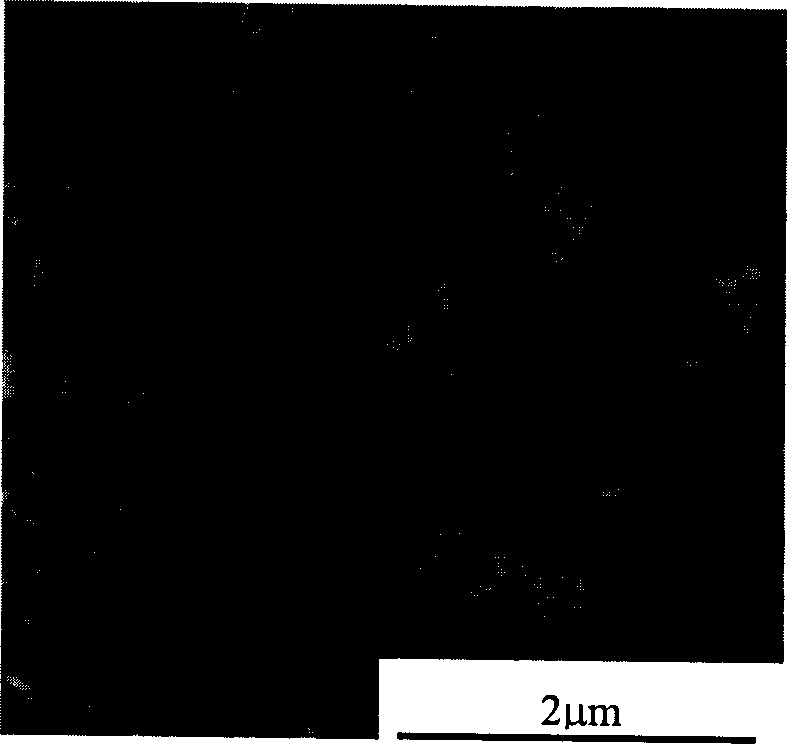 Process for preparing high dispersion flake magnesium hydroxide