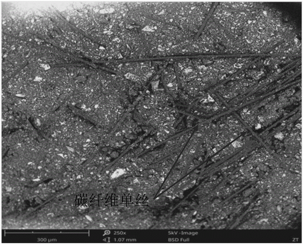 Processing method of conductive plasticine used for fixing SEM (Scanning Electron Microscope) sample