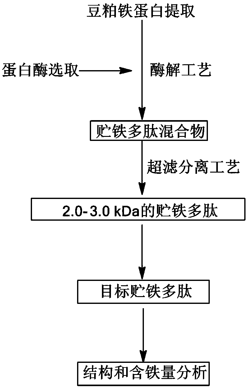 Method for preparing degreased soybean meal iron storage polypeptide by protease and application