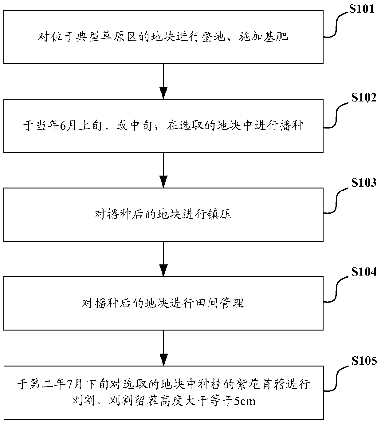 Method for planting alfalfa in typical grassland rainfed condition