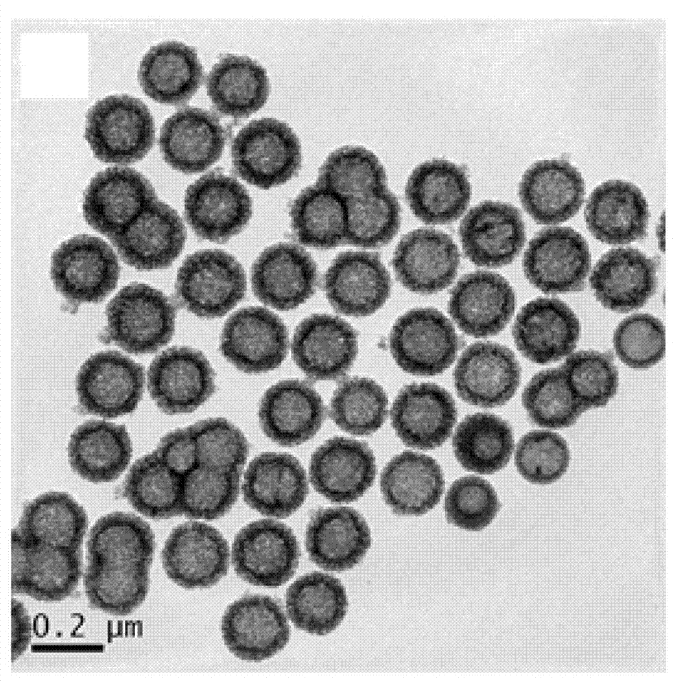 Amphiphilic polymer with tumor targeting property and visible light degradability and medicament carrier as well as preparation method thereof