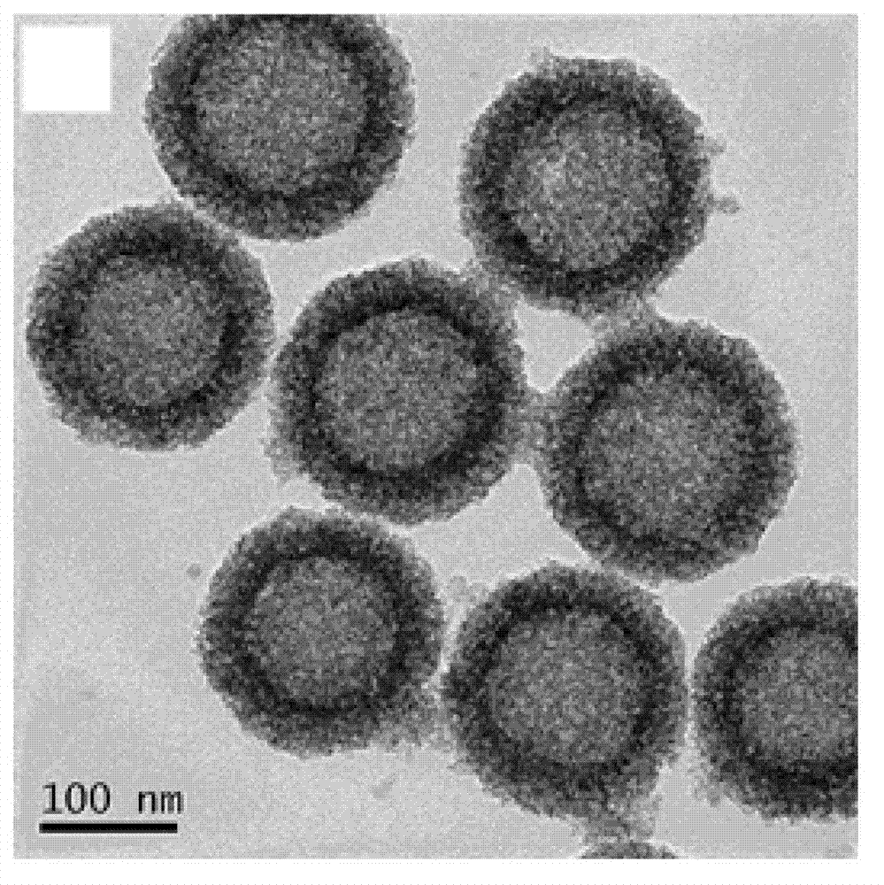 Amphiphilic polymer with tumor targeting property and visible light degradability and medicament carrier as well as preparation method thereof