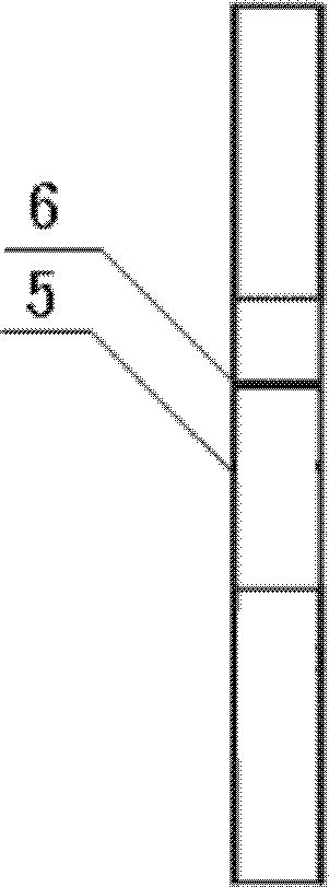 Magnetic lateral flow immunoassay for rapid detection of TTX and preparation of detection test strip