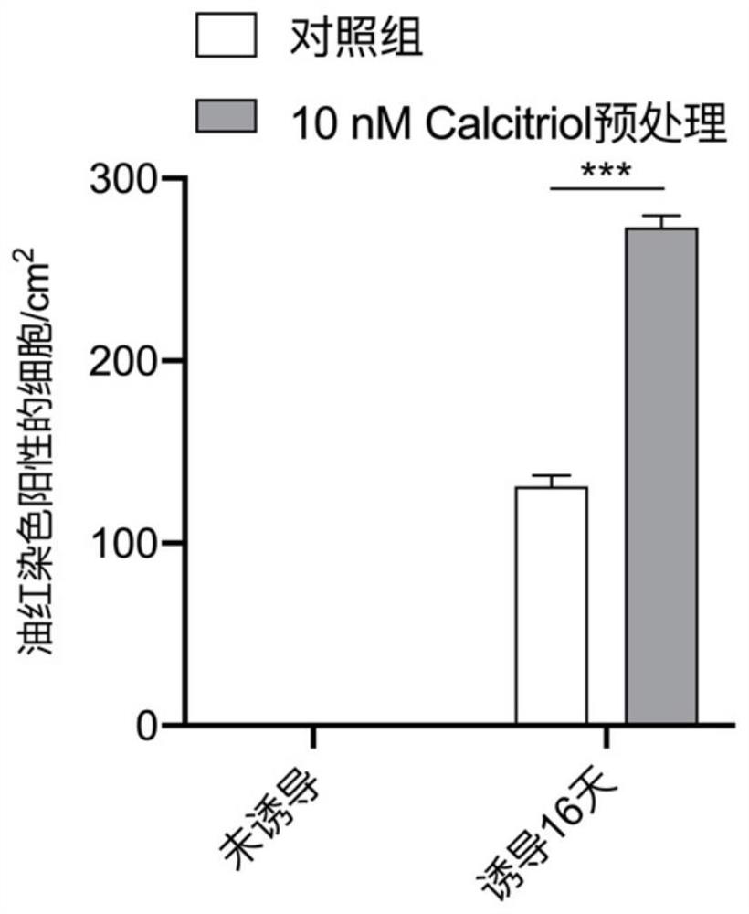 Application of vitamin d3 and its analogs in promoting the differentiation of human skin fibroblasts into adipocytes