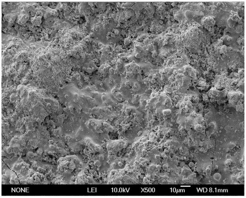 Hard tissue substitute material and preparation method thereof