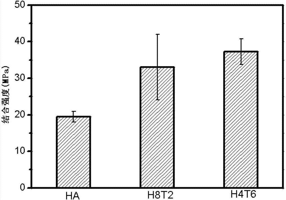 Hard tissue substitute material and preparation method thereof