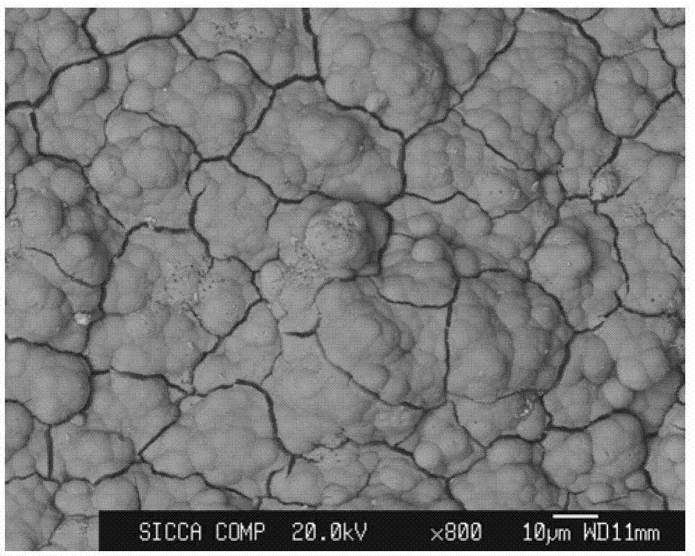 Hard tissue substitute material and preparation method thereof