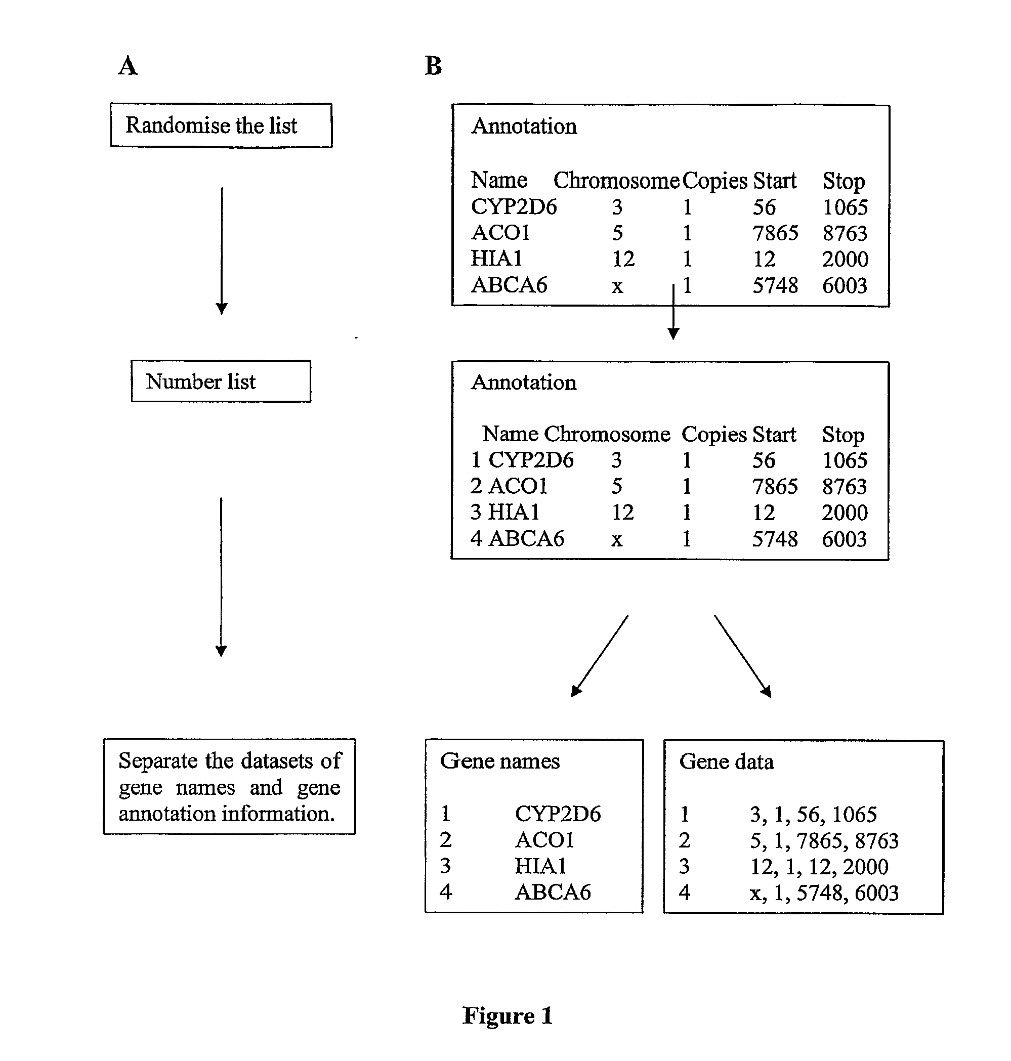 Methods for Processing Genomic Information and Uses Thereof