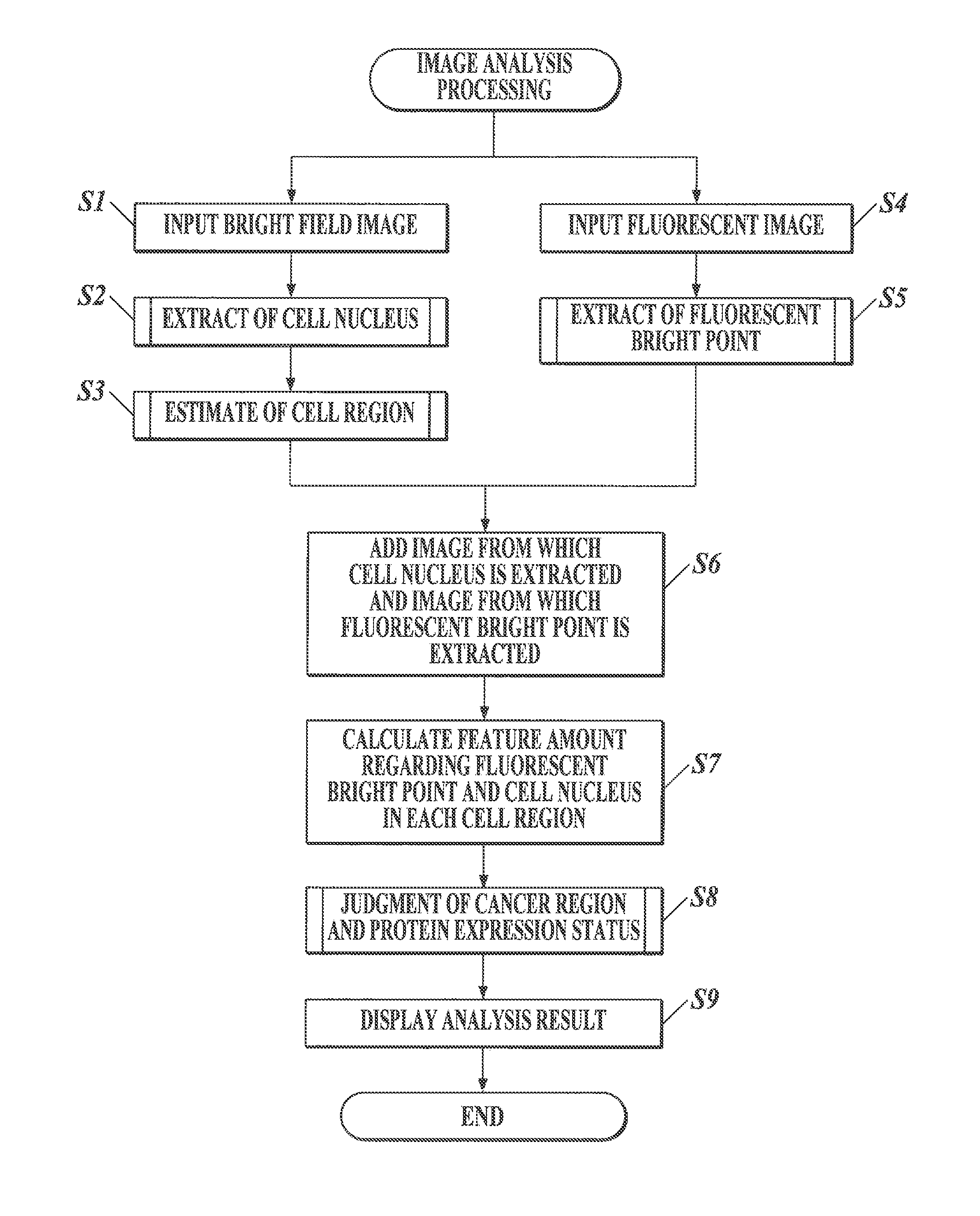 Medical image processor and storage medium