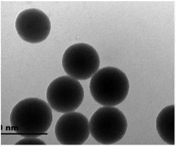 Bionic enzyme linked immunosorbent assay method capable of rapidly determining sulfonamide antibiotic residues