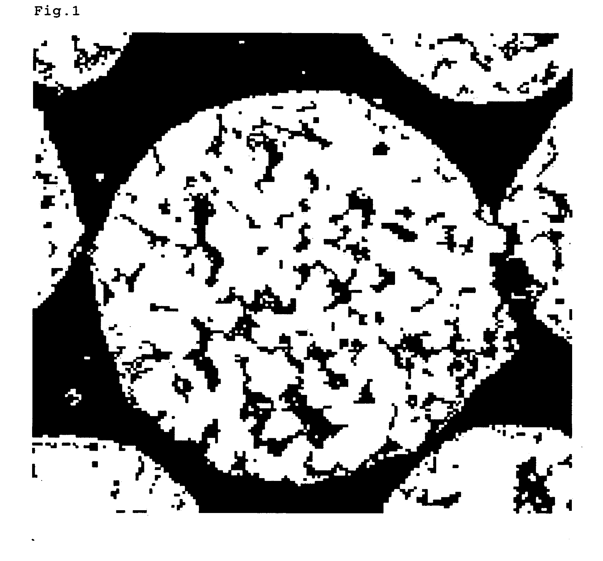 Carrier for electrophotographic developer, and electrophotographic developer using the same