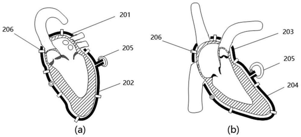 Multi-point drive type cardiac impulse simulation device