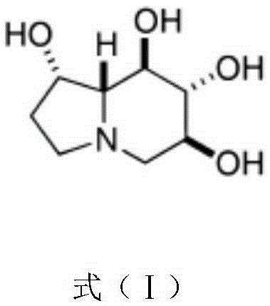 Application of castanospermine to preparation of antibacterial drugs