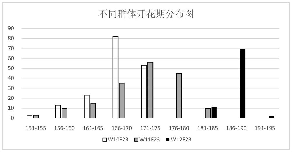 Molecular marker brsf2604 primer for major qtl loci at flowering and maturation stages of Brassica napus and its application