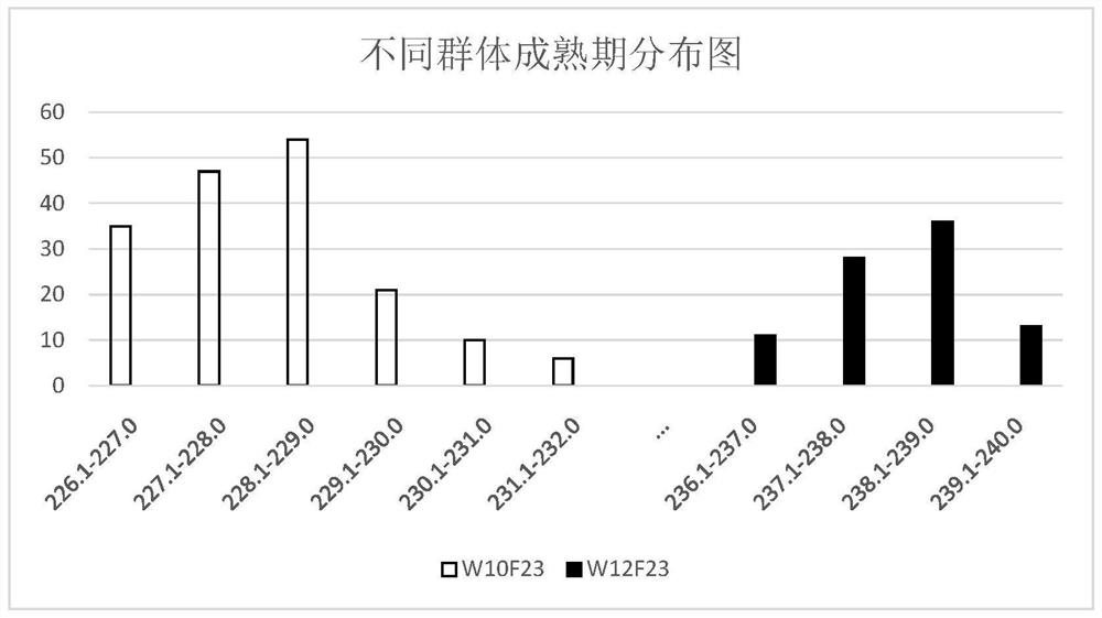 Molecular marker brsf2604 primer for major qtl loci at flowering and maturation stages of Brassica napus and its application