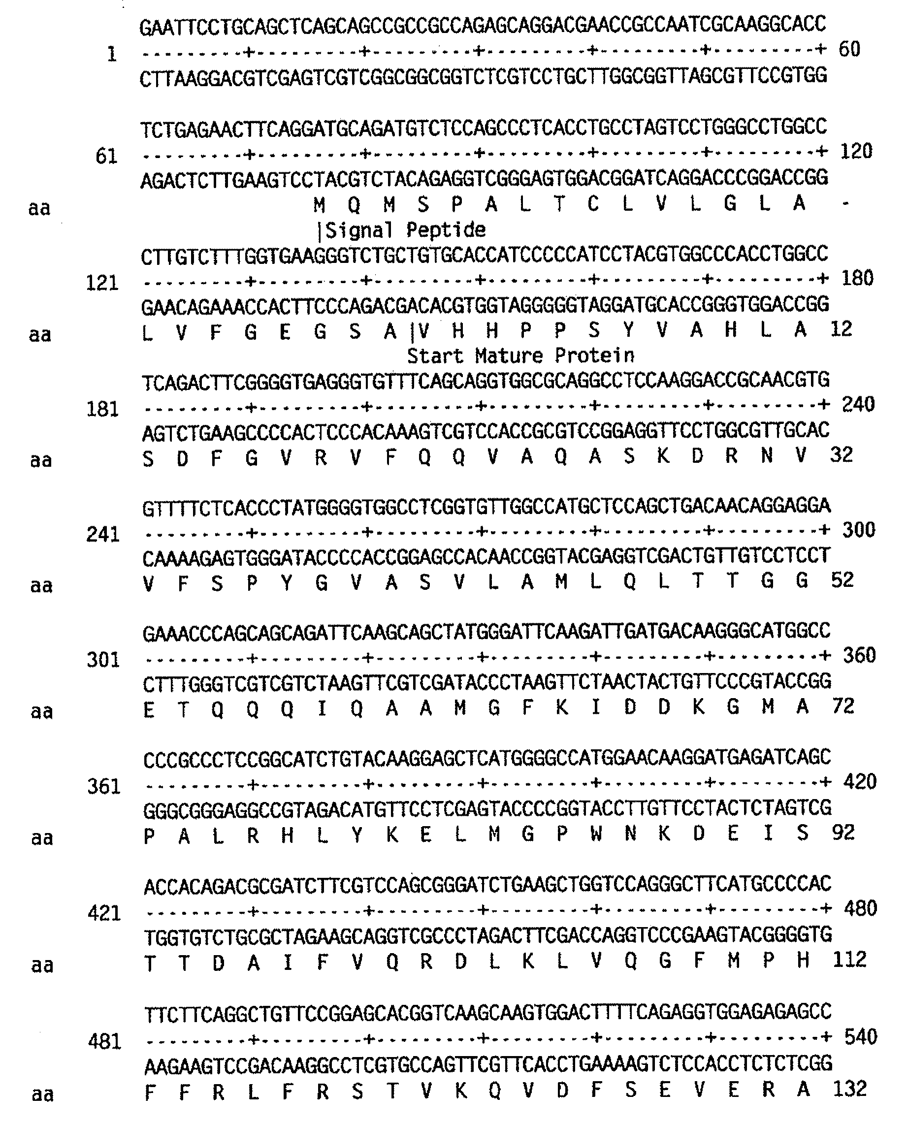 Modified plasminogen activator inhibitor type-1 and methods based thereon