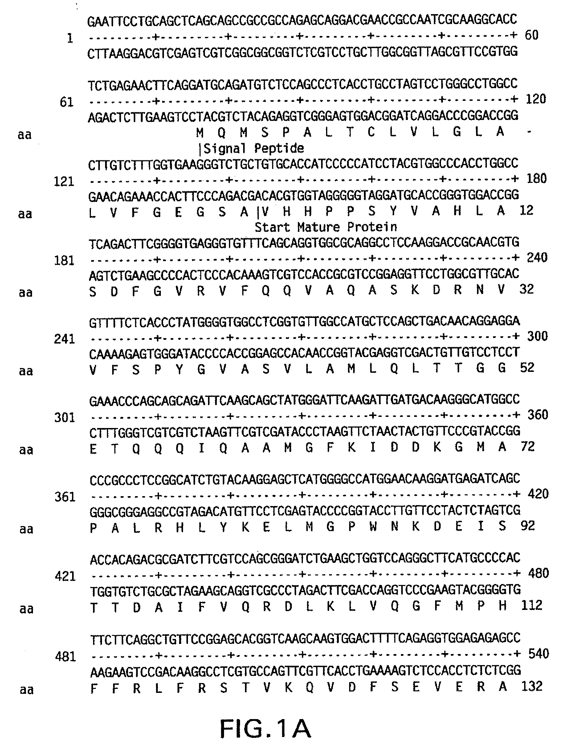 Modified plasminogen activator inhibitor type-1 and methods based thereon