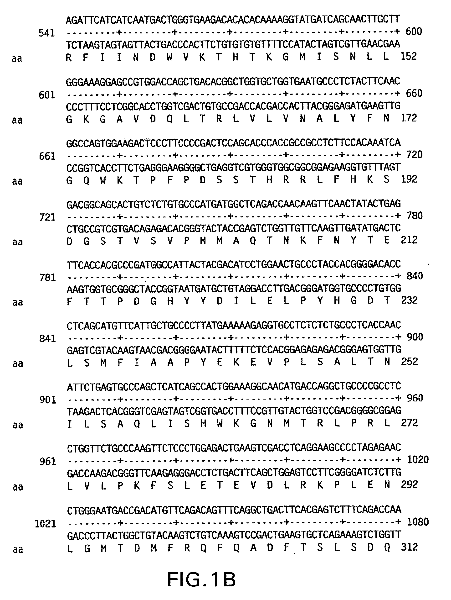 Modified plasminogen activator inhibitor type-1 and methods based thereon